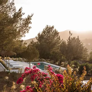 Séjour à la ferme Domo, Santa Eulària des Riu